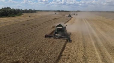 Bir buğday tarlasında çalışan birkaç hasatçıyla uçuyor.