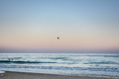 Gün batımında Karadeniz 'de bir dalganın tepesi, seçici bir odak noktası. Deniz dalgaları arkaplan serisi resimleri.