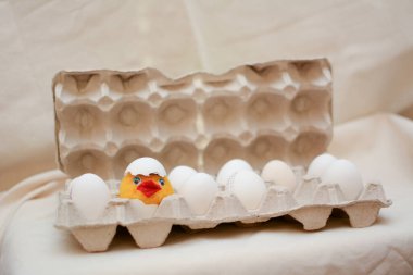 Yumurtalı tavuk konsepti. Oyuncak civcivler yumurta kutusundaki yumurtadan çıktılar..