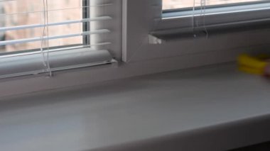Kadının eli pencere pervazındaki döküntüleri kaldırıyor ve pencere pervazındaki tozları sarı bir paçavrayla siliyor..