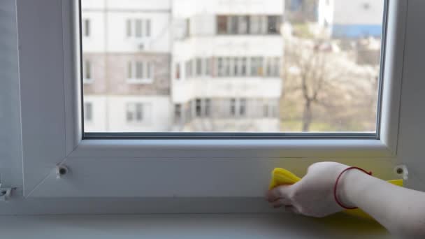 Pencere çerçevesini temizliyorum. Genç bir kadın plastik bir pencerenin çerçevesini siliyor.. — Stok video