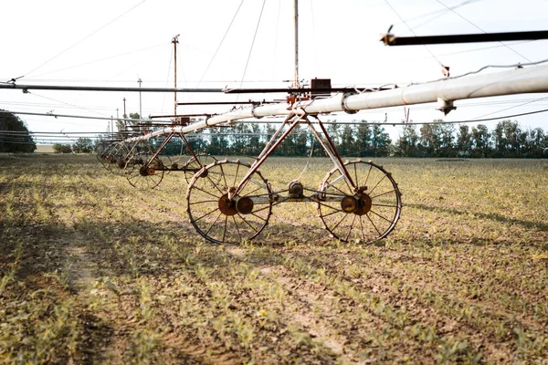 Field irrigation in agriculture. Agriculture, Pivot irrigation used to water plants on a farm.