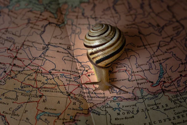 Little snail crawling across the world map