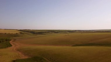 Hasat edilen alanların hava görüntüsü 4K Ultra HD