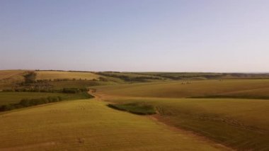 Hasat edilen alanların hava görüntüsü 4K Ultra HD