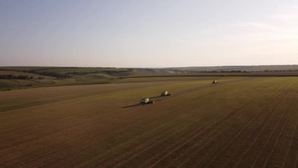 Widok Lotu Ptaka Maszyny Kombajn Pracy Polu Pszenicy Połącz Rolnicze — Wideo stockowe