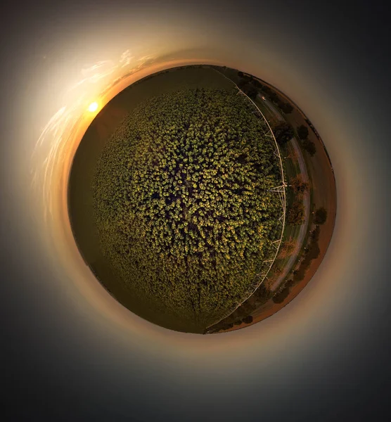 Kleine Grote Planeet Panorama Zonnebloemenveld Bij Zonsondergang — Stockfoto