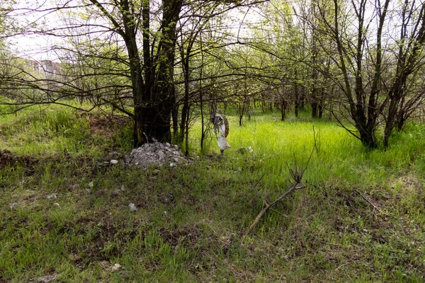 Déchets Construction Rejetés Dans Forêt Problèmes Écologiques — Photo