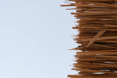 Saman şemsiyesi ve gökyüzü kopyalanmış boşluk