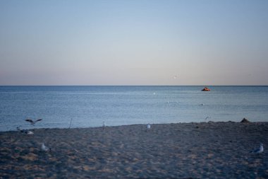 Katamaran gün batımında Karadeniz 'in su yüzeyinde yelken açıyor.