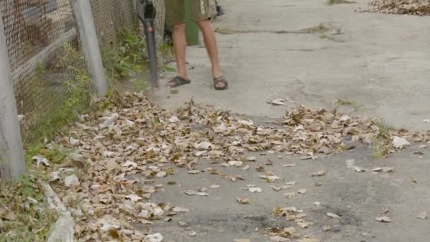 Zatoka Odessa ウクライナ 2021年9月1日アディダスの看板のあるショートパンツの若い男が吹き落ちた葉を庭に吹き上げ Fps — ストック動画