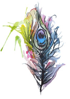 Suluboya tavus kuşu sanat çizimi