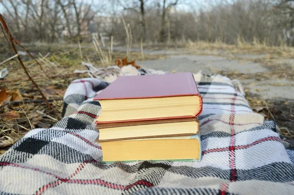 Montón de libros sobre la tela a cuadros, parque — Foto de Stock