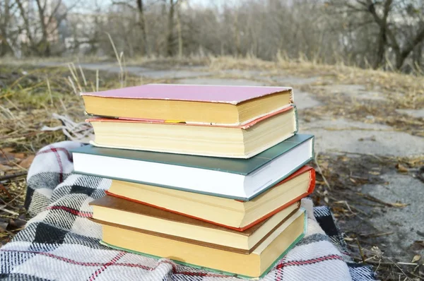 Montón de libros sobre la tela a cuadros, parque — Foto de Stock
