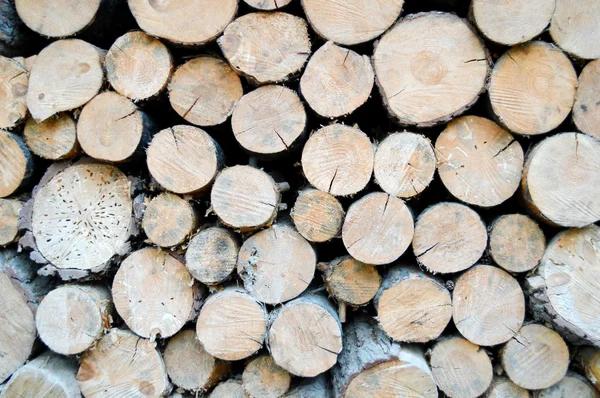 Stacked tree wood logs background — Stock Photo, Image