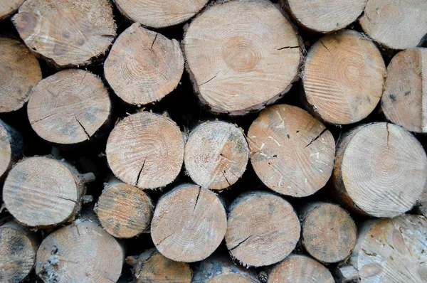 Gestapelde boom houten logboeken achtergrond — Stockfoto