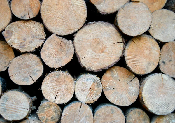 Gestapelde boom houten logboeken achtergrond — Stockfoto