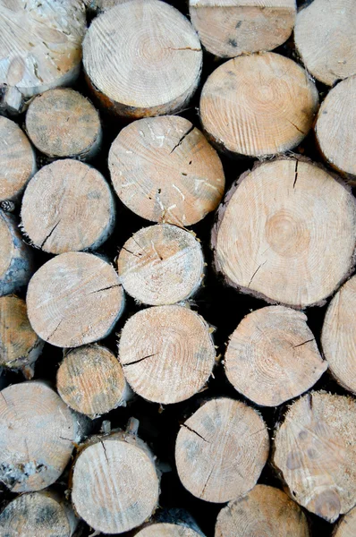 Stacked tree wood logs background — Stock Photo, Image