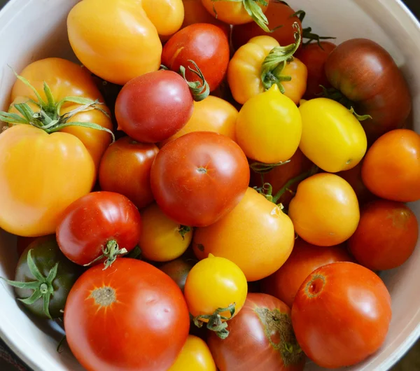 Biologische, kleine, gele en rode tomaten — Stockfoto