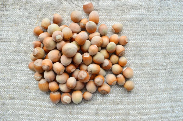 Closeup lískové ořechy — Stock fotografie