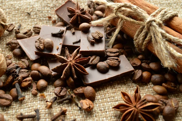 Cannella, cioccolato, caffè, chiodi di garofano, nocciole noci su fondo saccheggiatore — Foto Stock