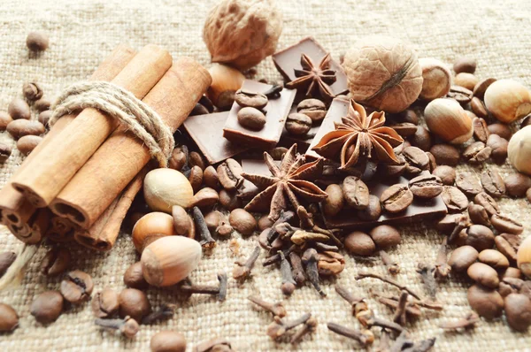 Cannelle, chocolat, café, clous de girofle, noisettes noix sur fond de sac — Photo