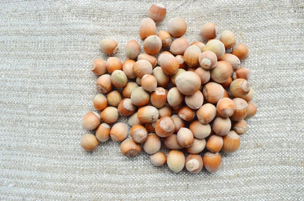 Hazelnuts closeup — Stock Photo, Image