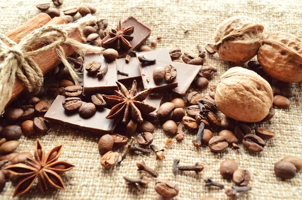 Cannella, cioccolato, caffè, chiodi di garofano, nocciole noci su fondo saccheggiatore — Foto Stock