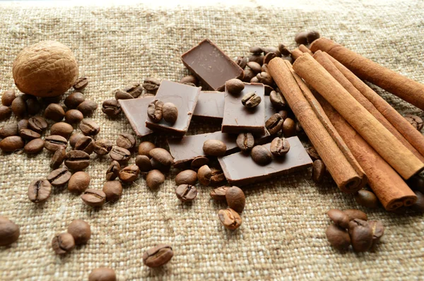 Cannella, cioccolato, caffè, chiodi di garofano, nocciole noci su fondo saccheggiatore — Foto Stock