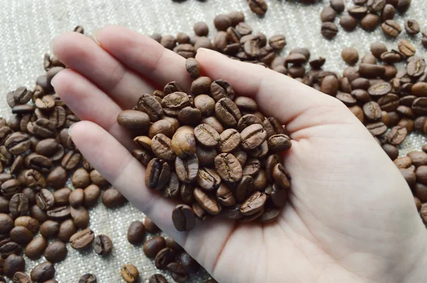 Female hand with coffee beans — Stock Photo, Image