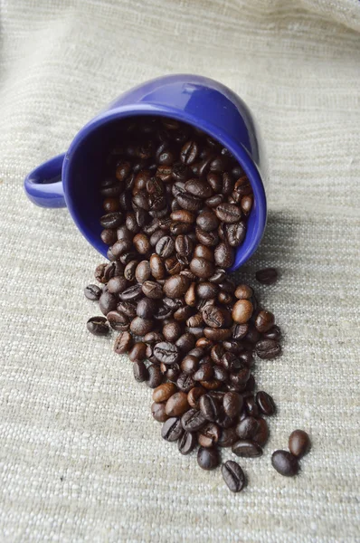 Cup full of coffee beans, cinnamon sticks, star anise, closeup — Stock Photo, Image