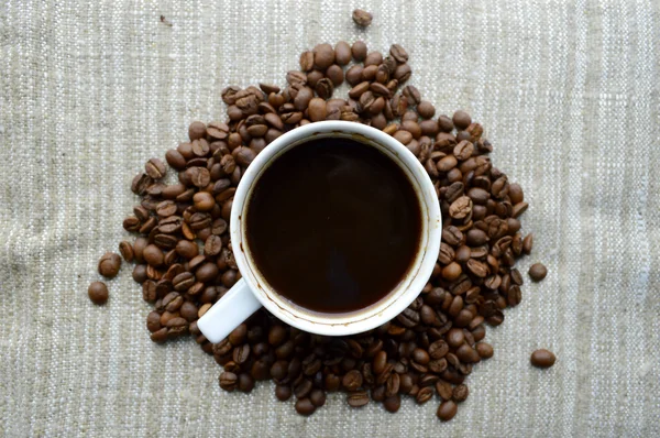 Cup full of coffee beans, cinnamon sticks, star anise, closeup — Stock Photo, Image