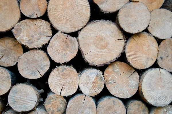 Gestapelde boom houten logboeken — Stockfoto