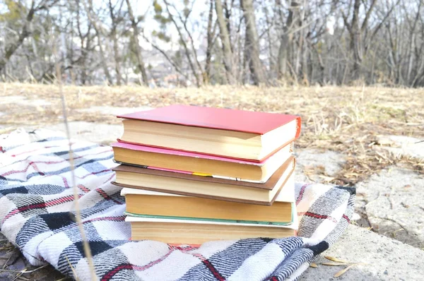 Stapel boeken op de plaid — Stockfoto