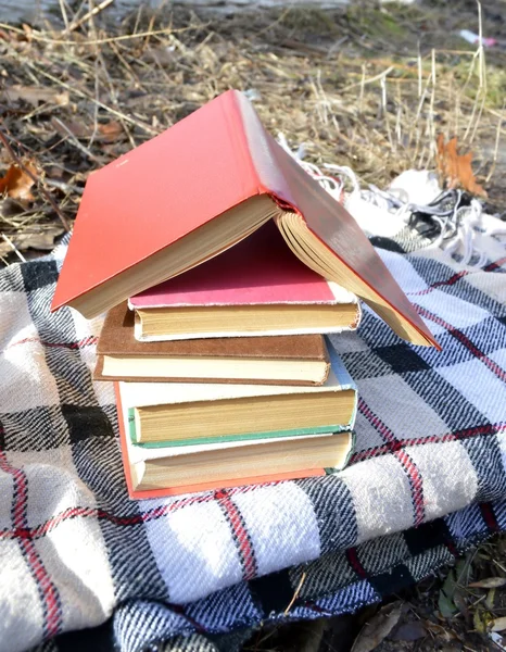 Pile of books on the plaid — Stock Photo, Image