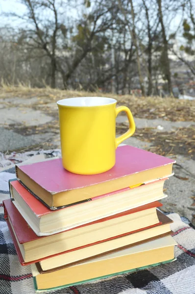 Stapel boeken op de plaid — Stockfoto