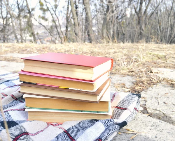 Pile of books on the plaid — Stock Photo, Image