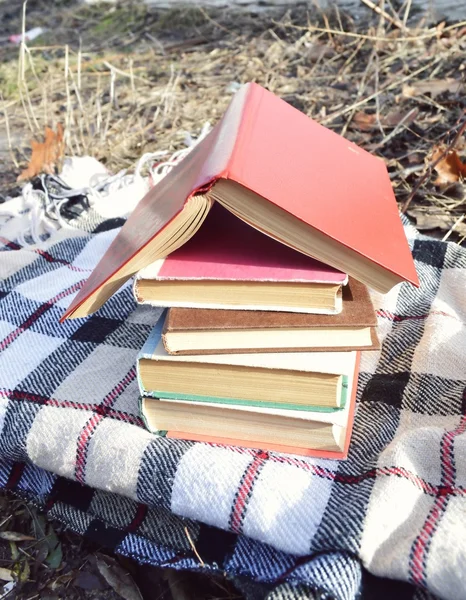 Montón de libros sobre los cuadros —  Fotos de Stock