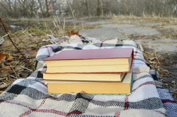 Stapel boeken op de plaid — Stockfoto