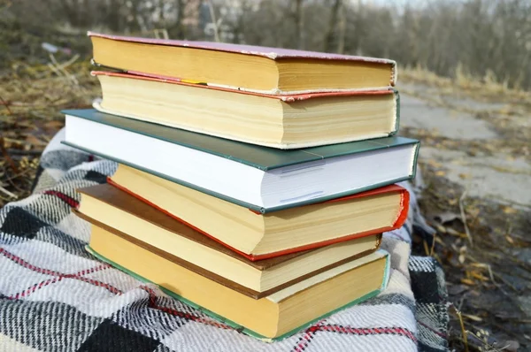 Pile of books on the plaid — Stock Photo, Image