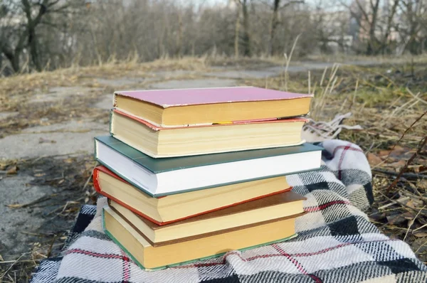 Bücherstapel auf dem Karo — Stockfoto