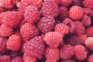 Olgun, sulu, kırmızı, organik ahududu yakın çekim