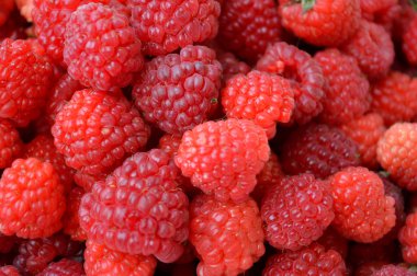 Lezzetli, olgun ahududu yakın çekim