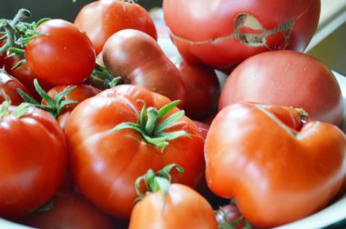 Organik, kırmızı ve sarı domates