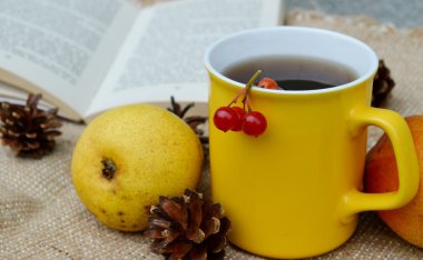 Fincan çay, elma ve ve çam kozalakları bir kitapla