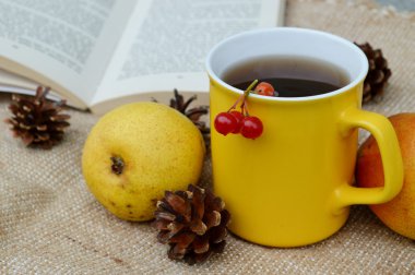 Fincan çay, elma ve ve çam kozalakları bir kitapla