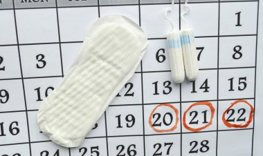 Kadın hijyen koruma, kırmızı bir arka plan üzerinde pamuk tampon, turuncu Gerber, sıhhi yastıkları ile yakın-up.menstruation takvimi