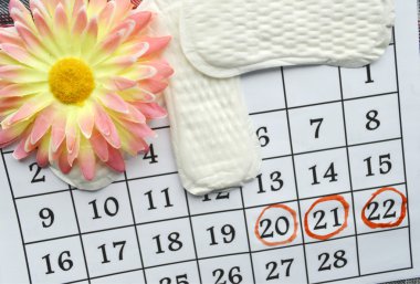 Kadın hijyen koruma, kırmızı bir arka plan üzerinde pamuk tampon, turuncu Gerber, sıhhi yastıkları ile yakın-up.menstruation takvimi