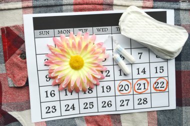Woman hygiene protection, close-up.menstruation calendar with cotton tampons,orange Gerber,Sanitary pads on a red background clipart