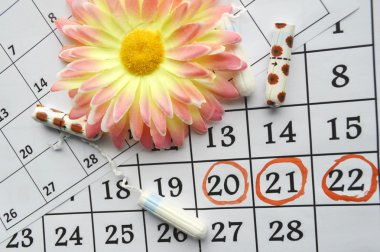 Kadın hijyen koruma, kırmızı bir arka plan üzerinde pamuk tampon, turuncu Gerber, sıhhi yastıkları ile yakın-up.menstruation takvimi